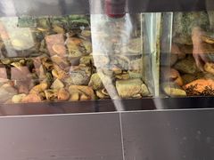 -灵龟之家百象馆(百象馆联合旗舰店)