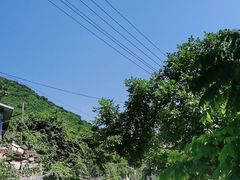 -大岭沟猕猴桃谷风景区