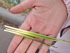 -粤秀小厨·广式早茶(辽宁路店)