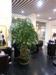 店内环境-变画·发型STUDIO