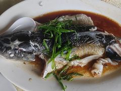 -锦龙美食农庄