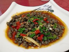 葱油泥螺-文仔海鲜馆