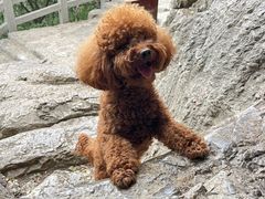 -青州市云门山风景区