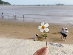 -小皓村