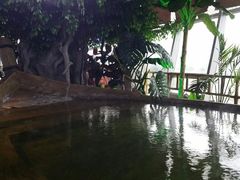 -汤乐汇•足道•SPA生活馆