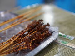 -杨婆婆烤肉(文昌阁店)