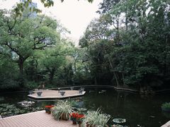 -九龙公园
