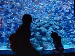 -成都浩海立方海洋公园