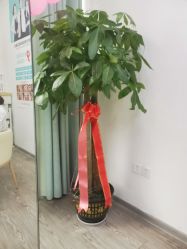 -痘院长·祛痘·科技美肤