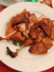 -新城花园酒店·宴会厅