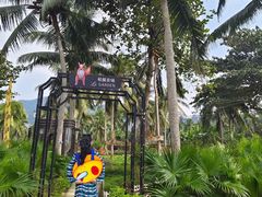 -石梅湾艾美度假酒店