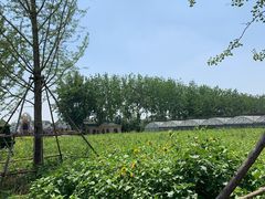 -云幽谷旅游区