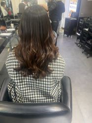 -风向标WIND VANE SALON