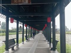 -陶辛水韵