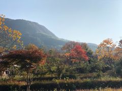 -塔川景区