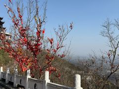 -句容茅山景区