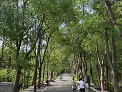 -同里国家湿地公园