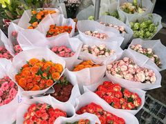 -合肥市裕丰花鸟虫鱼市场