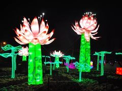 -祥源·阜阳生态乐园