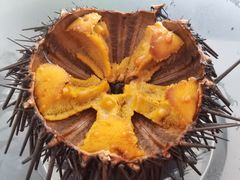 -海胆小馆(东北水饺·春柳店)