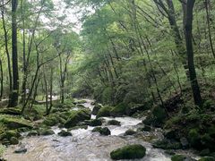 -牛背梁国家森林公园