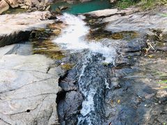 -广州白江湖森林公园