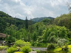 -云溪植物园