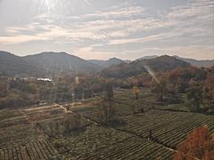 -灵顺寺