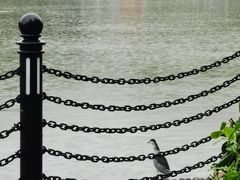 -苏州河梦清园环保主题公园