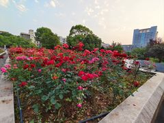 -南华大学(红湘校区)
