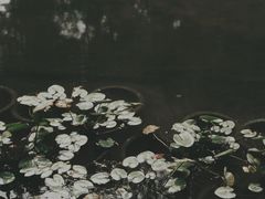 -杭州少年儿童公园