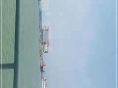 -长岛万鸟岛