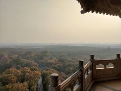 -灵谷景区