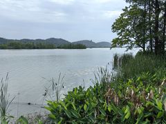 -东湖落雁景区