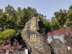 -无锡梅园公园