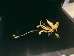 -周大福CHOW TAI FOOK(北京SKP店)