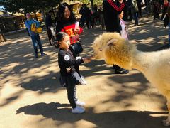 -北戴河集发农业梦想王国