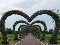 -迪茵湖田家舍生态农场