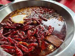谭血鸭红锅底-谭鸭血老火锅(漳州路店)