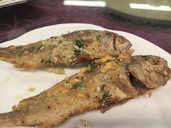 -协和菜馆(凤凰街店)