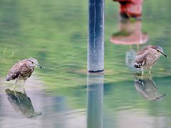 -苏州河梦清园环保主题公园