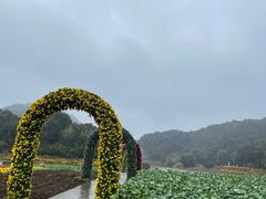 -广州市石门国家森林公园