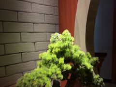 -鹤祥宫·影院足道·SPA连锁(苹果园店)