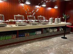 -郑州新郑国际机场T2航站楼-贵宾厅B区