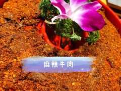 -宽窄巷子火锅(周浦店)