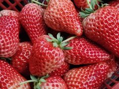 -嘉荣超市(望牛墩店)