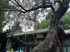 -莲池书院博物馆