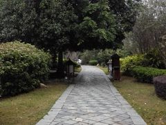 -森波拉火山温泉