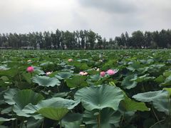 -御江山炭火自助烤肉