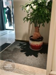 -苑苑vbeauty科技美容SPA